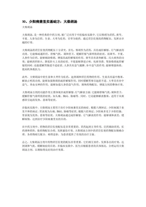 30、少阳病兼里实基础方：大柴胡汤