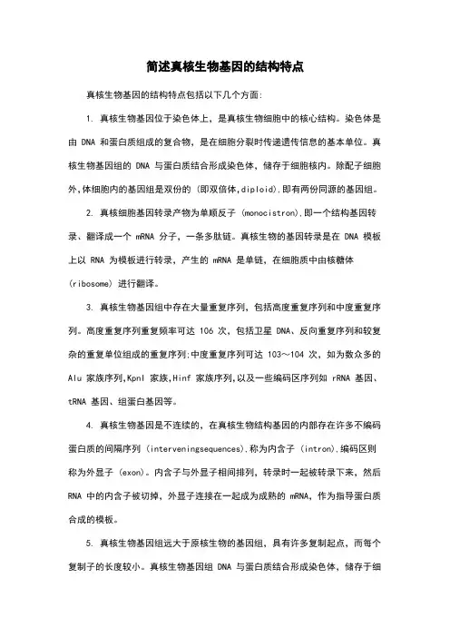 简述真核生物基因的结构特点