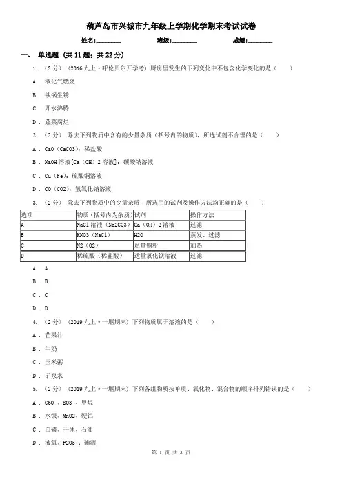 葫芦岛市兴城市九年级上学期化学期末考试试卷