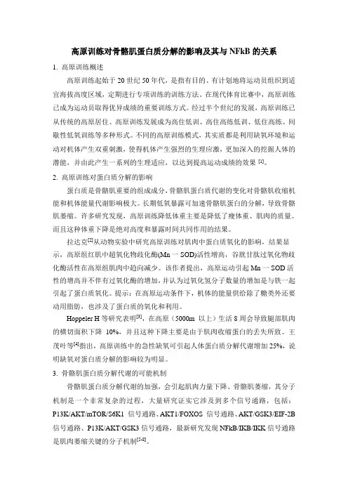 高原训练