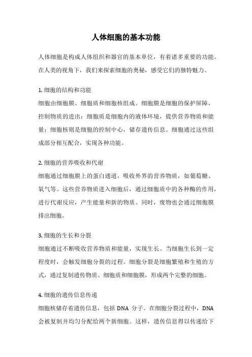人体细胞的基本功能