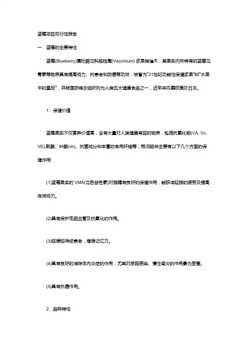 蓝莓的可行性研究报告