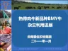 热带肉牛新品种BMY牛
