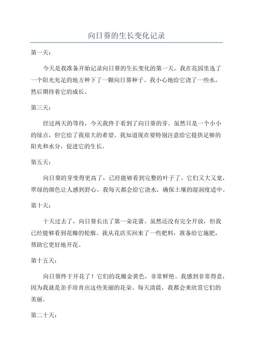 向日葵的生长变化记录