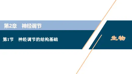 高中生物新人教版选择性必修1神经调节的基本方式(36张)课件