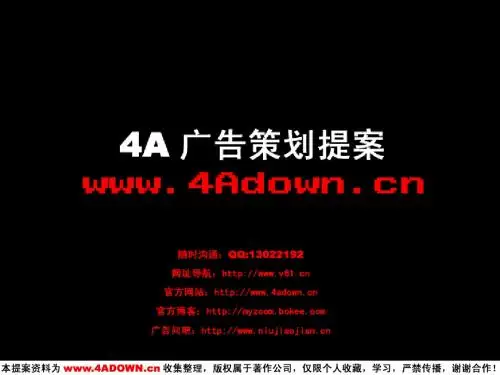 屯河番茄酱营销战略计划