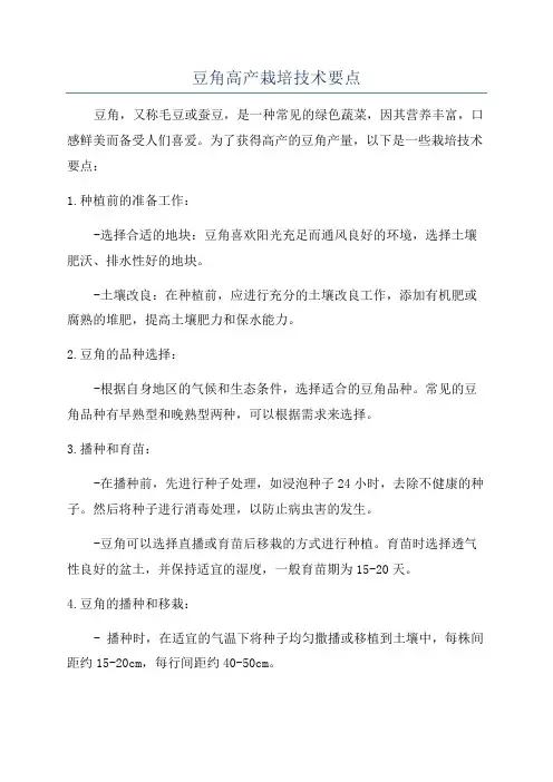 豆角高产栽培技术要点