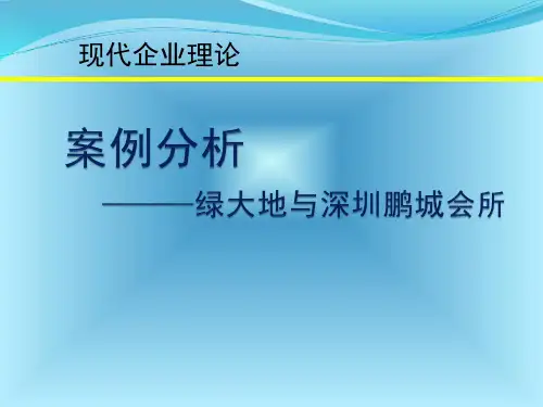 会计师事务所案例分析-鹏城