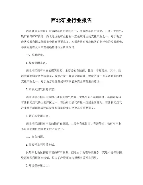 西北矿业行业报告