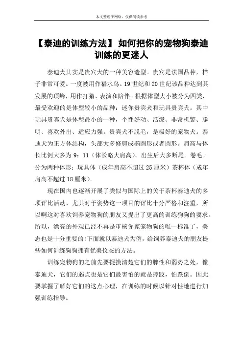 【泰迪的训练方法】 如何把你的宠物狗泰迪训练的更迷人