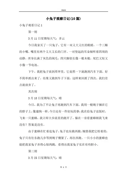 小兔子观察日记(10篇)