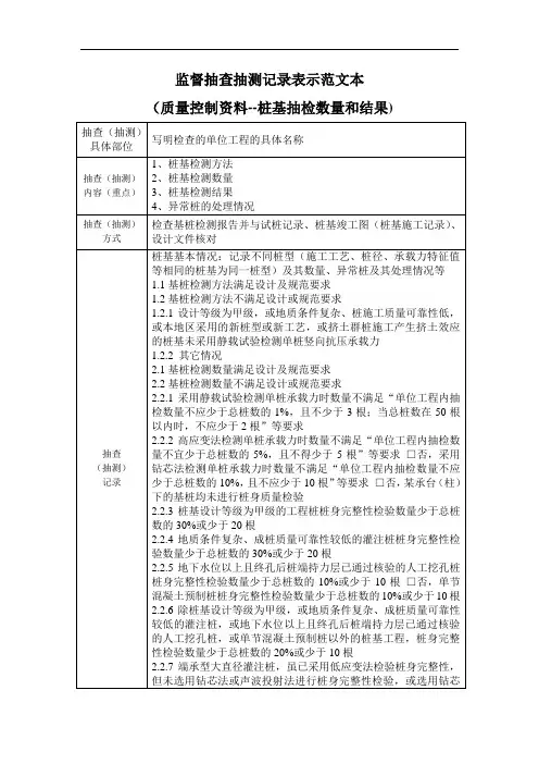 抽查抽测记录表示范文本