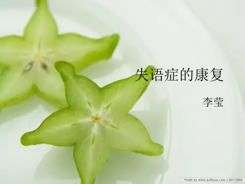 失语症概述2