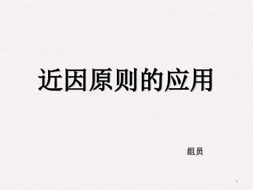 近因原则的应用ppt课件
