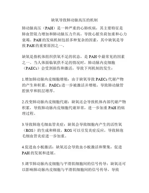 缺氧导致肺动脉高压的机制