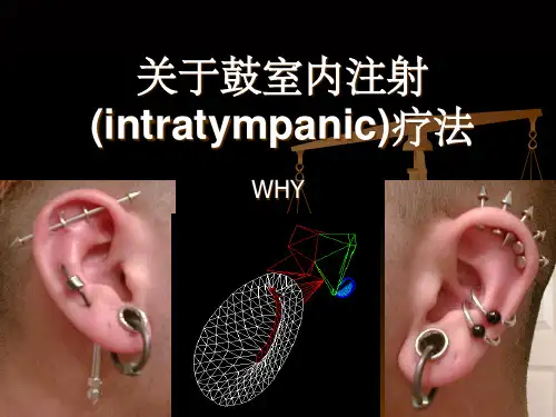 《关于鼓室注射》PPT课件