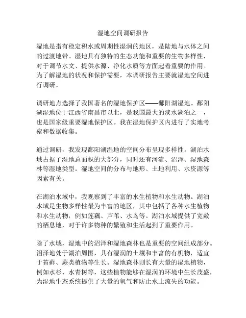 湿地空间调研报告