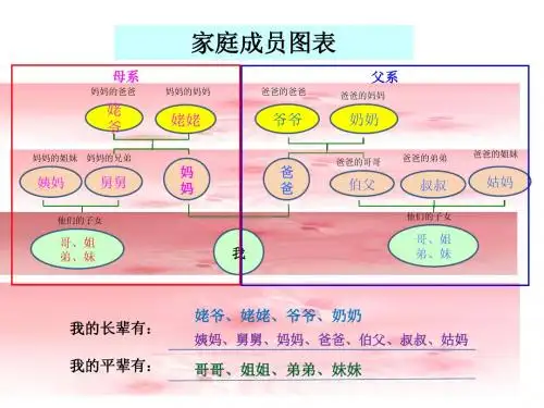 家庭成员图表