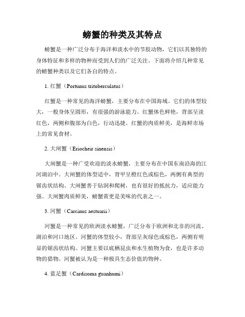 螃蟹的种类及其特点