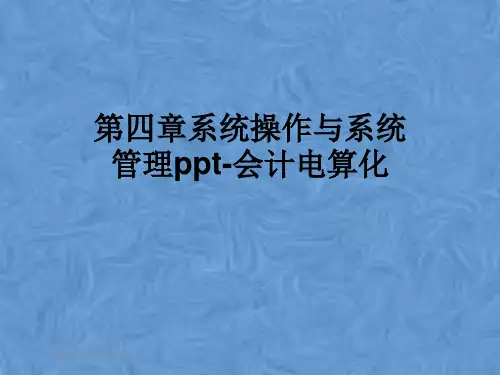 第四章系统操作与系统管理ppt-会计电算化