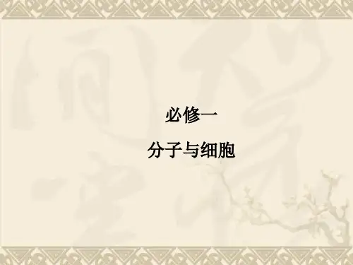 高考生物一轮复习 4-1 细胞的增殖课件 新人教版