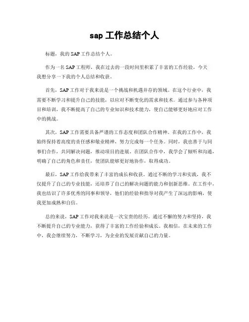 sap工作总结个人