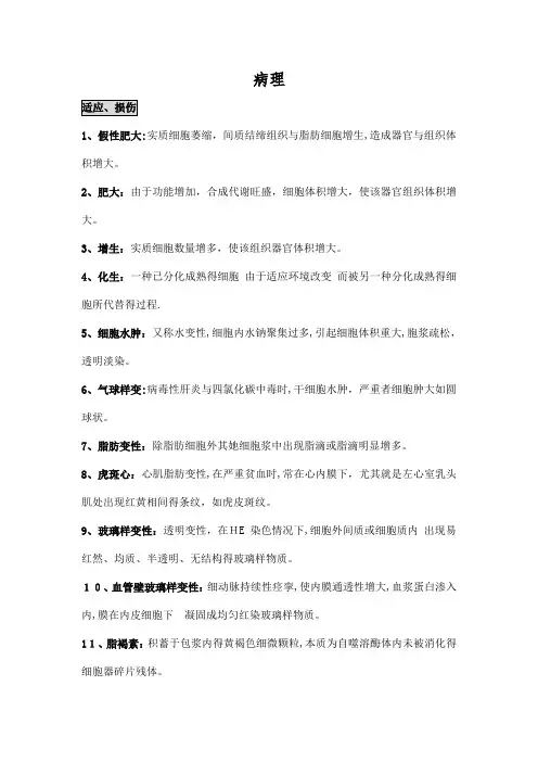 病理学-名词解释