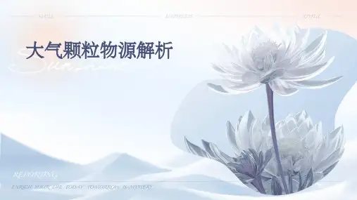 大气颗粒物源解析