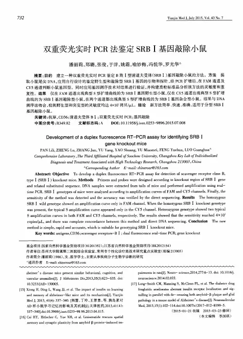 双重荧光实时PCR法鉴定SRBⅠ基因敲除小鼠