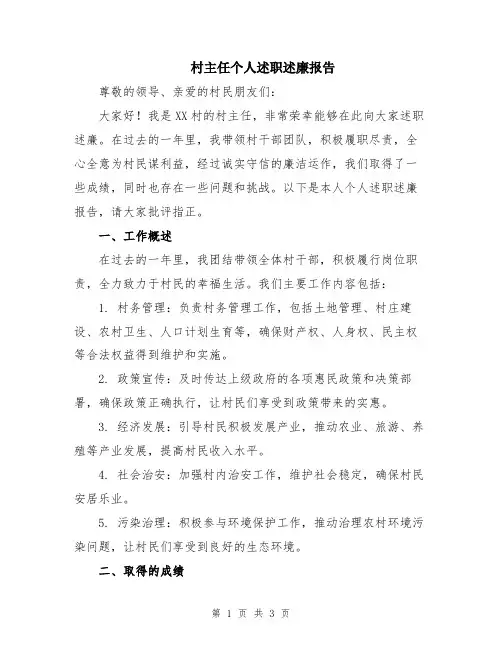 村主任个人述职述廉报告