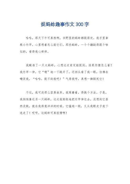 捉蚂蚱趣事作文300字