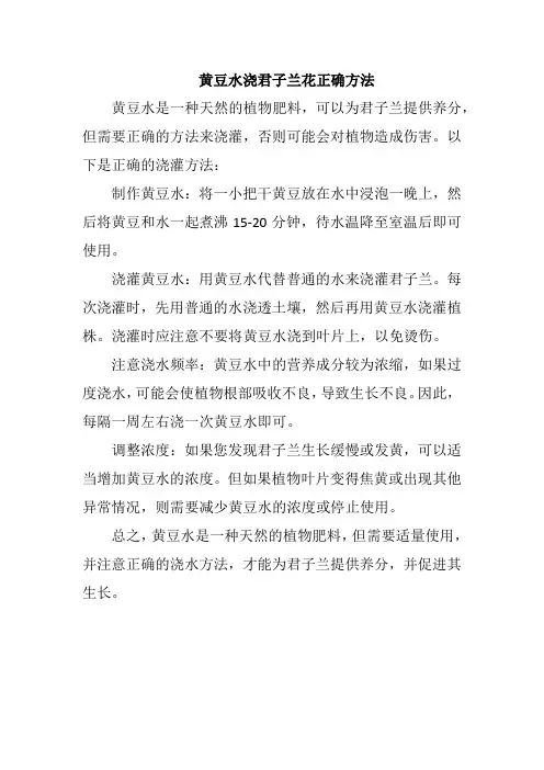 黄豆水浇君子兰花正确方法