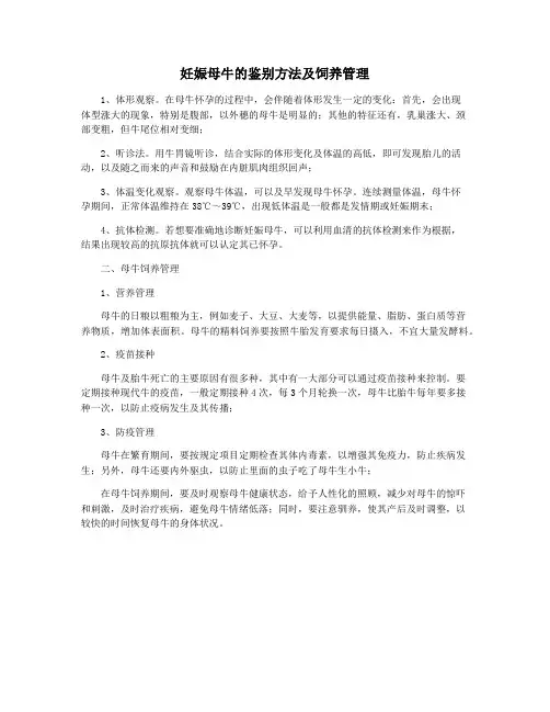 妊娠母牛的鉴别方法及饲养管理