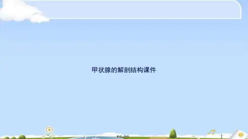 甲状腺的解剖结构(共9张PPT)