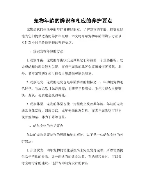 宠物年龄的辨识和相应的养护要点