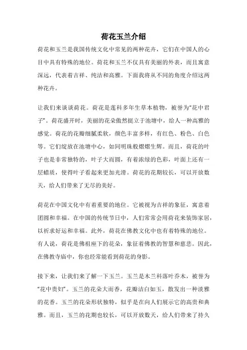 荷花玉兰介绍
