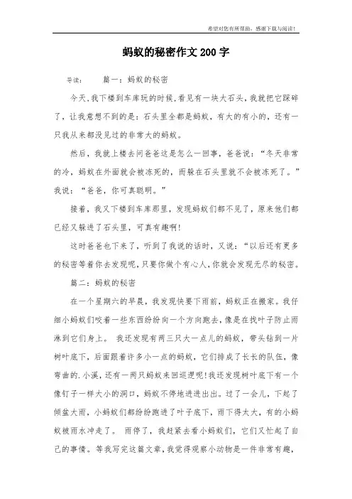 蚂蚁的秘密作文200字