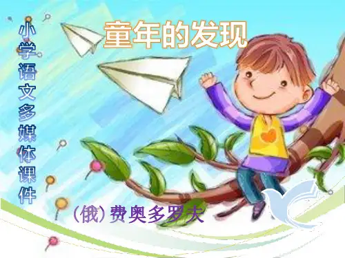《童年的发现》ppt课件最新修改完美版
