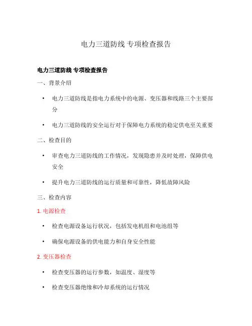 电力三道防线 专项检查报告