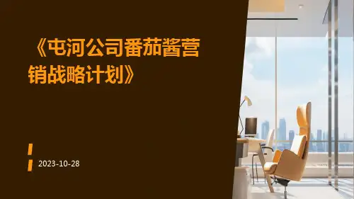 屯河公司番茄酱营销战略计划