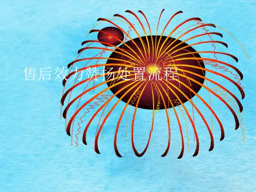 售后服务投诉处理流程ppt课件