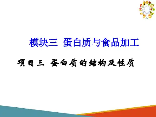 蛋白质—蛋白质的结构及性质(食品生物化学课件)