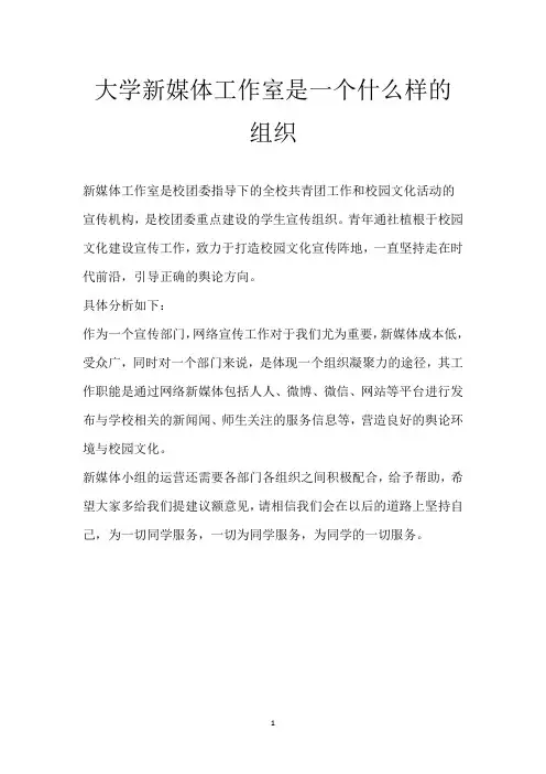 大学新媒体工作室是一个什么样的组织