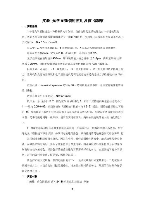 光学显微镜的使用及菌体观察