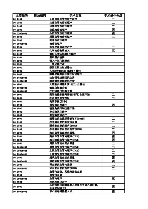 《山东省医疗机构手术操作分类代码及级别目录(2019年版)(1)