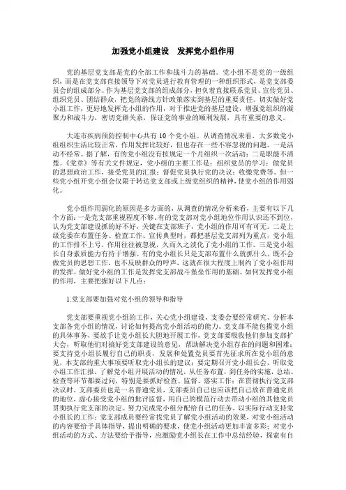 加强党小组建设 发挥党小组作用