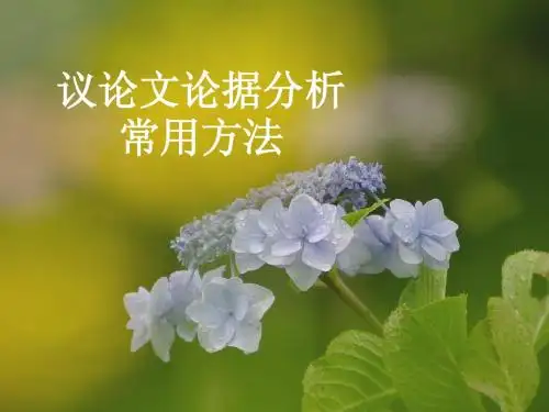 论据分析法(最新)