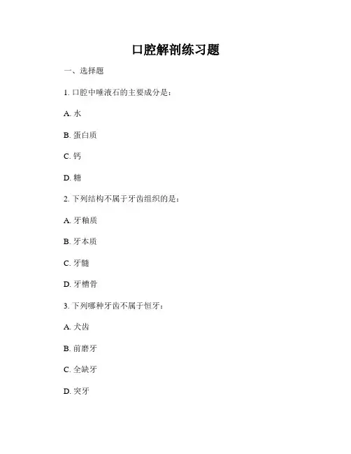 口腔解剖练习题