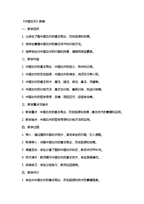 《中国功夫》教案