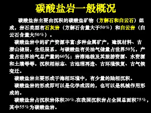 碳酸盐岩基本特征与分类命名